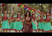 गायिका कल्पना काफलेको स्वरमा “फरर डोरी” सार्वजनिक